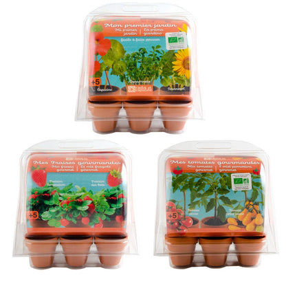 Serre 6 pots - Tomates Bio enfants - Kit créatif de jardinage Enfant