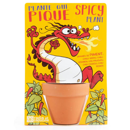 Carte nature Dragon + Piment de Cayenne  - Kit créatif de jardinage Enfant