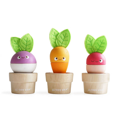 Plug-in pour légumes - Jeu sensoriel enfant