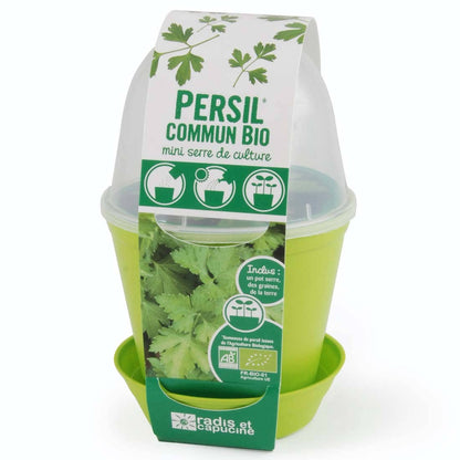 Pot cloche - Persil commun bio - Kit créatif de jardinage Enfant