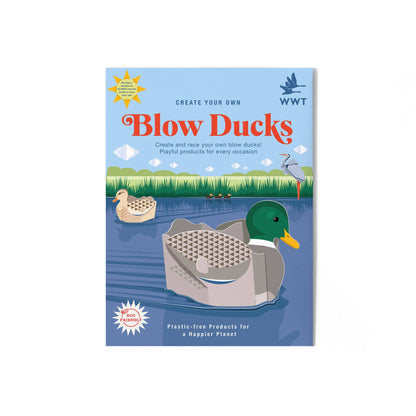 Créez votre propre mini-kit Blow Ducks