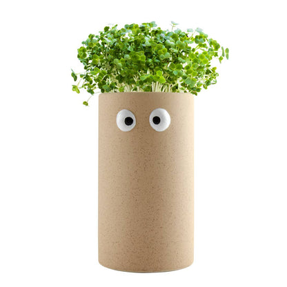 Pot visage - "Chauve qui peut" Basilic grand vert - Kit créatif de jardinage Enfant