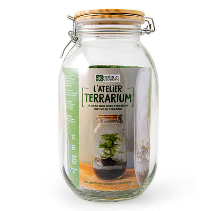 Kit pour créer ton propre terrarium - Kit créatif de jardinage Enfant