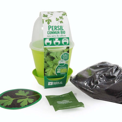 Pot cloche - Persil commun bio - Kit créatif de jardinage Enfant