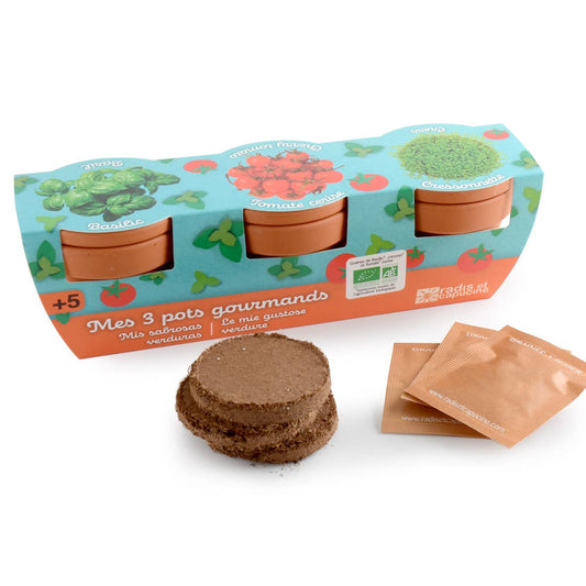 Trio 3 pots plantes gourmandes bio - Kit créatif de jardinage Enfant