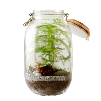 Kit pour créer ton propre terrarium - Kit créatif de jardinage Enfant