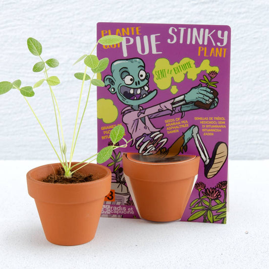 Carte nature Zombie - Plante qui pue - Kit créatif de jardinage Enfant