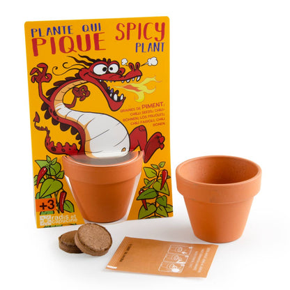 Carte nature Dragon + Piment de Cayenne  - Kit créatif de jardinage Enfant