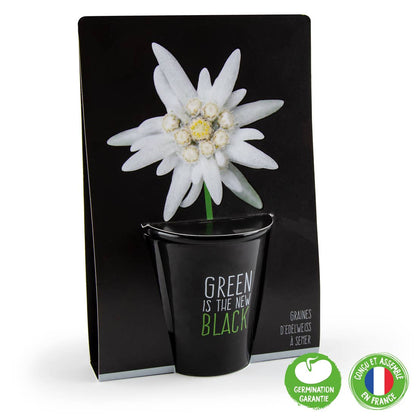 Gamme black - Edelweiss - Kit créatif de jardinage Enfant