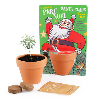 Carte nature Père Noël - Pin - Kit créatif de jardinage Enfant