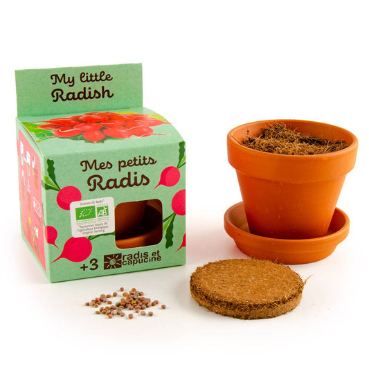 Plantes gourmandes - Radis bio - Kit créatif de jardinage Enfant