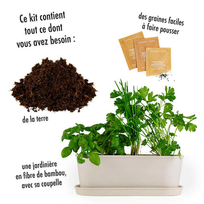 Jardinière bambou - Aromates - Kit créatif de jardinage Enfant