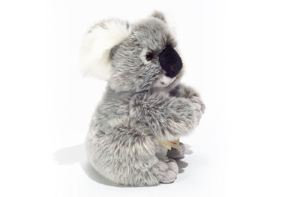 Koala 21 cm - peluche - peluche