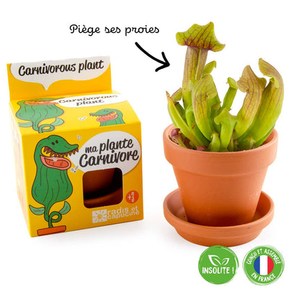 La plante carnivore - Kit créatif de jardinage Enfant