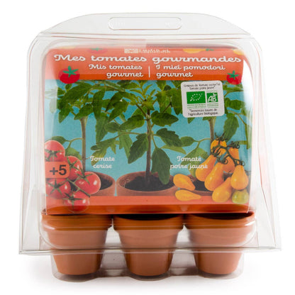 Serre 6 pots - Tomates Bio enfants - Kit créatif de jardinage Enfant