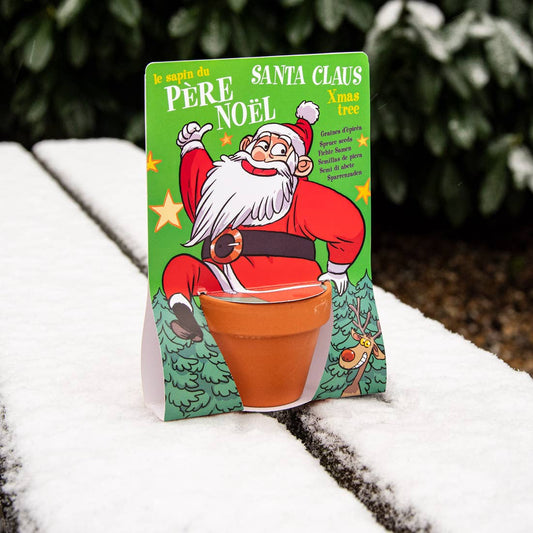 Carte nature Père Noël - Pin - Kit créatif de jardinage Enfant