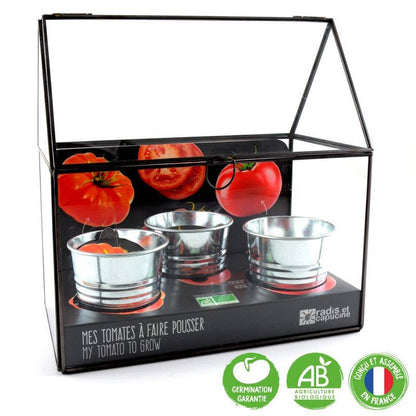 Châssis noir 3 pots zinc + Tomates bio - Kit créatif de jardinage Enfant