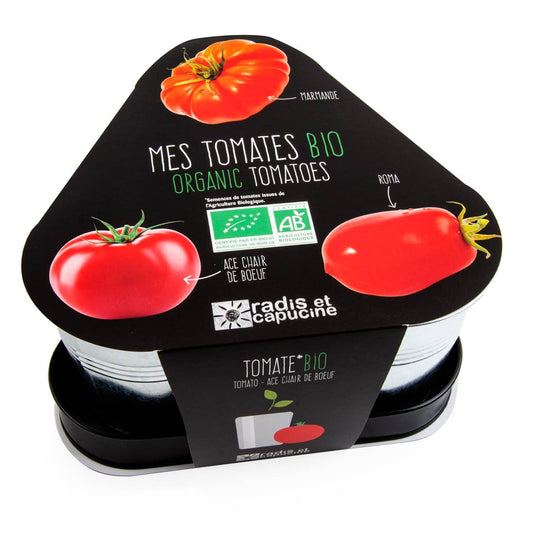 Trio pots zinc - Tomates Bio - Kit créatif de jardinage Enfant