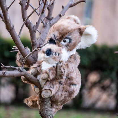 Ma peluche Koala Félicien