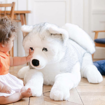 Ma peluche Husky Léonard