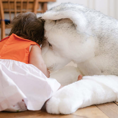 Ma peluche Husky Léonard