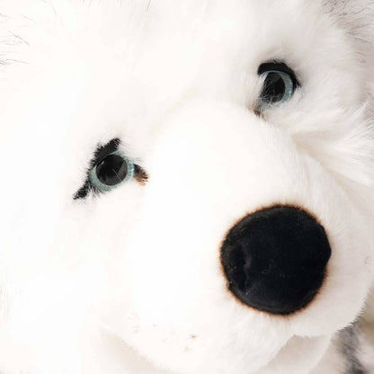 Ma peluche Husky Léonard