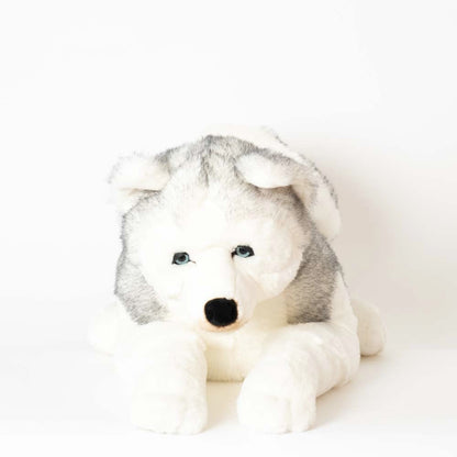 Ma peluche Husky Léonard