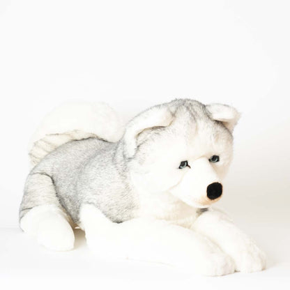 Ma peluche Husky Léonard