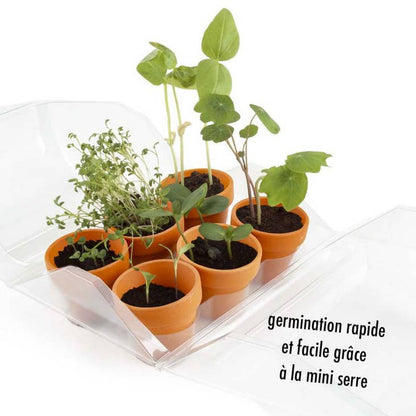 Kit DIY - Mini serre plastique recyclé mon premier jardin - Kit créatif de jardinage Enfant