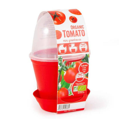 Pot Cloche - Tomate cerise bio - Kit créatif de jardinage Enfant