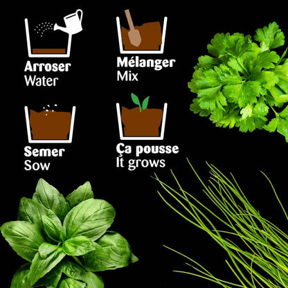 Trio d'aromates Bio (basilic, ciboulette, persil) - Kit créatif de jardinage Enfant